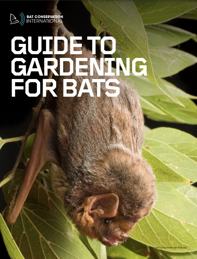 Guide to Gardening for Bats